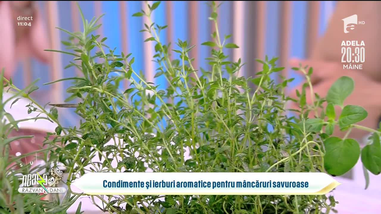 Sarea-n bucate. Cum facem mâncarea să aibă gust
