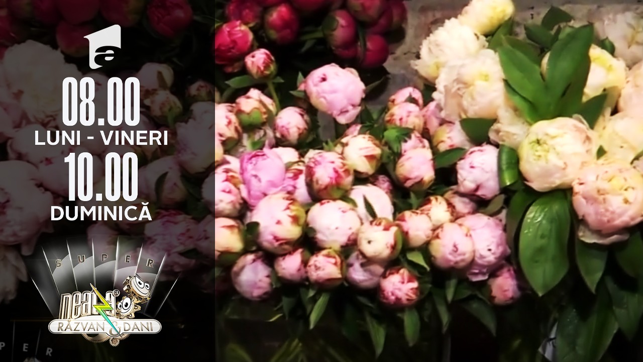 Bujorii, florile vedetă ale lunii mai