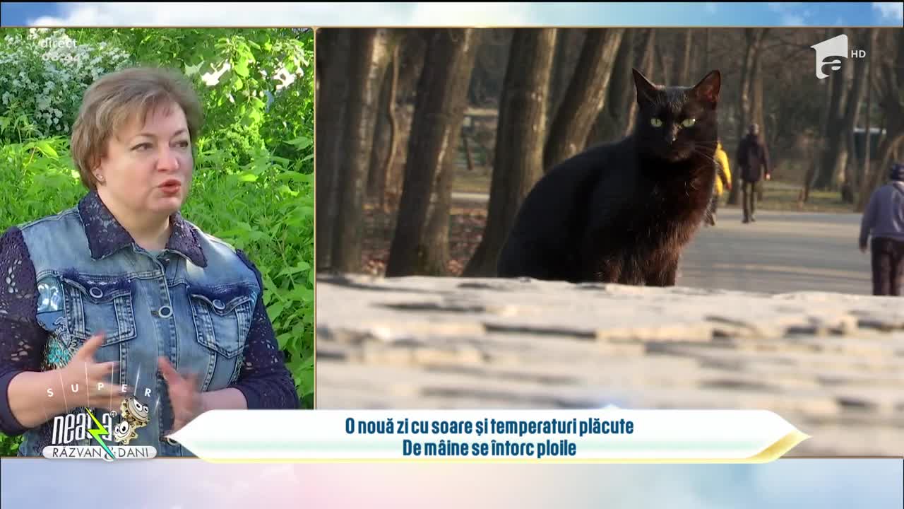 Prognoza Meteo pentru următoarele zile. De când revin ploile