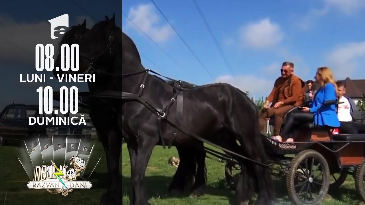 Vrei o plimbare pe l&acirc;ngă București? Super Neatza &icirc;ți arată cele mai faine destinații de weekend!