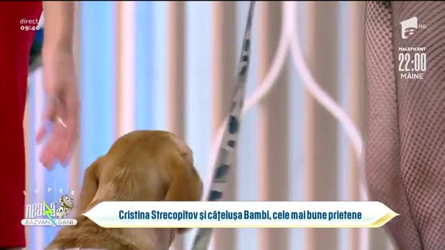 Cristina Strecop&icirc;tov și cățelușa Bambi, cele mai bune prietene: Am adoptat-o acum trei luni!