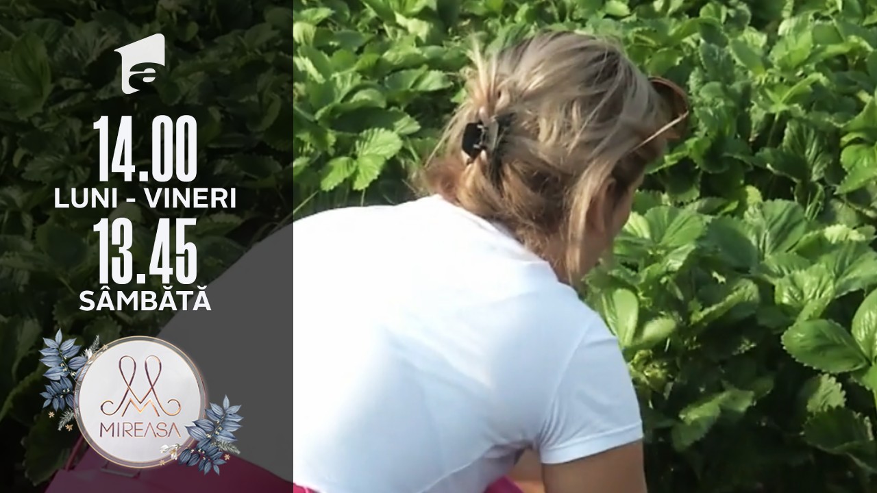 Doamna Victoria şi Costinela, la cules de căpşune! Discuţie &icirc;ntre patru ochi despre Ionuţ!