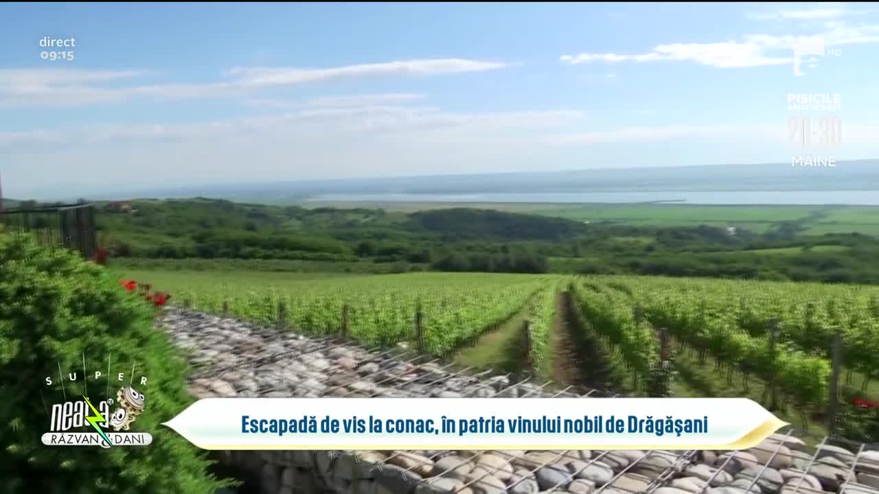 Escapadă de vis la conac, &icirc;n patria vinului nobil de Drăgășani