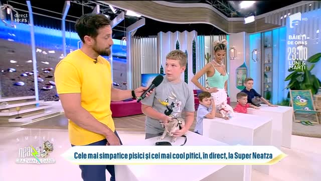Cele mai simpatice pisici și cei mai cool pitici, &icirc;n direct, la Super Neatza