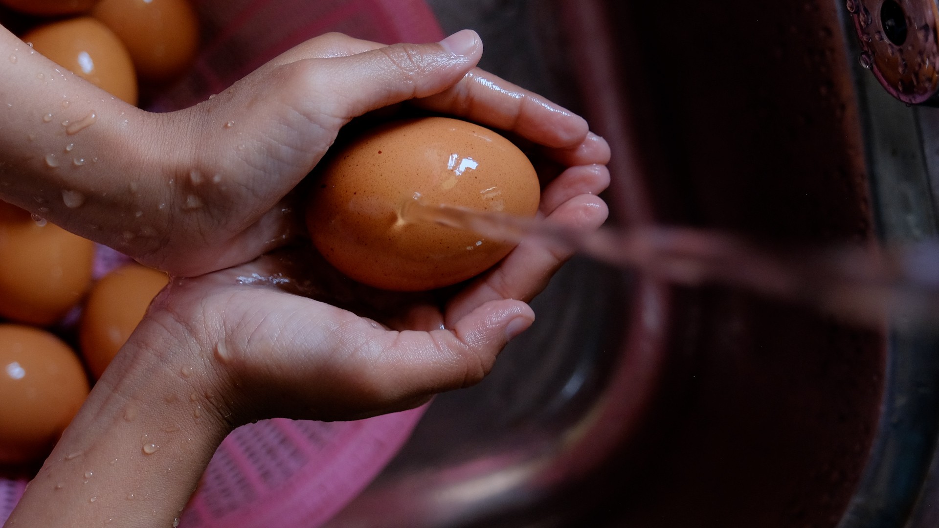 Motivele pentru care nu este bine să spălăm ouăle înainte de consum.