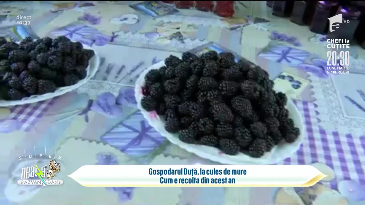 Super Neatza, 27 iulie 2021. Totul despre recolta de mure din acest an