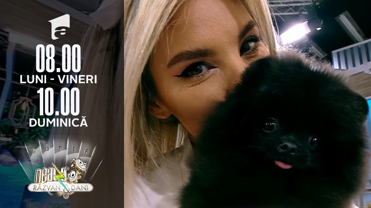 Super Neatza de Weekend, 5 septembrie 2021. Totul despre cățeii din rasa Pomeranian