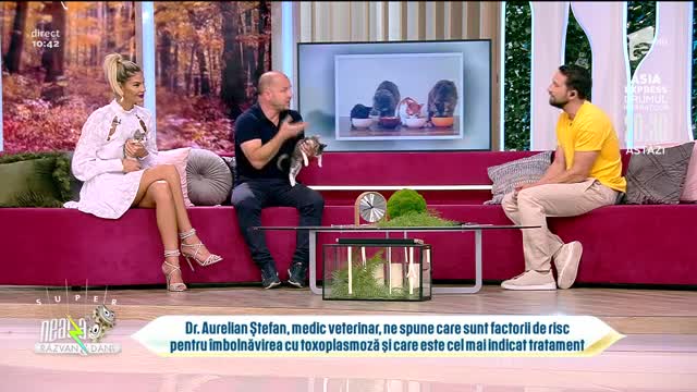 Super Neatza, 28 septembrie 2021. Toxoplasmoza la pisici