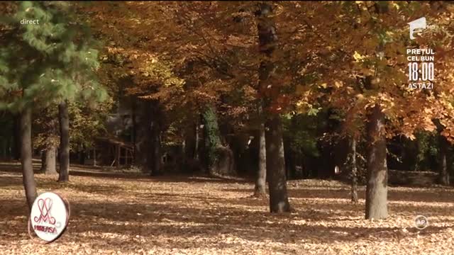 Mireasa Sezonul 4, 27 octombrie 2021. John și Amalia au avut prima lor întâlnire în natură
