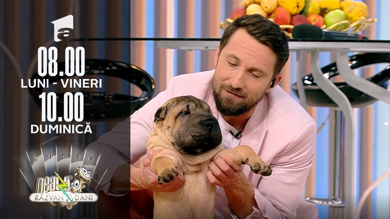 Super Neatza, 9 noiembrie 2021. Totul despre creșterea și &icirc;ngrijirea unui c&acirc;ine rasa Shar Pei