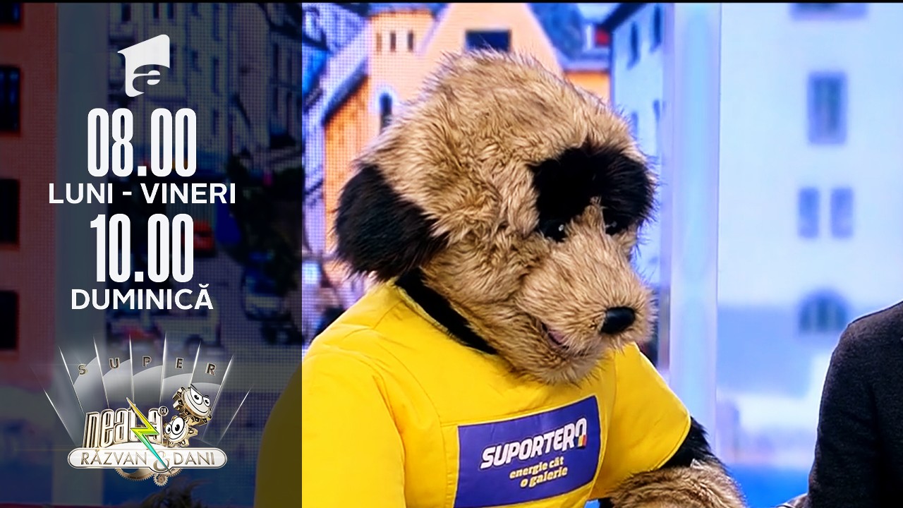 Super Neatza, 11 noiembrie 2021. Mascota SuporterRO susține Echipa Națională de Fotbal a Rom&acirc;niei