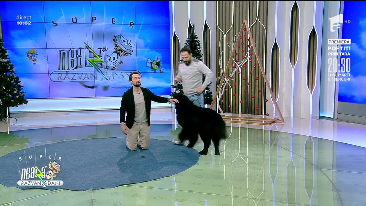 Super Neatza, 6 decembrie 2021. Educația canină cu Cătălin Cornea
