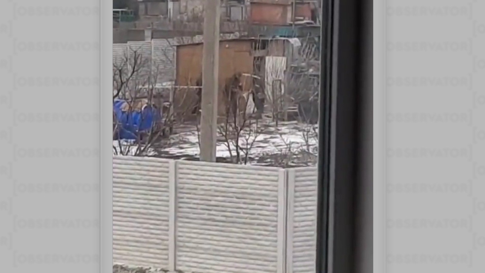 Видео снятое хохлами. Ukrainian Soldiers watching Russians deploy.