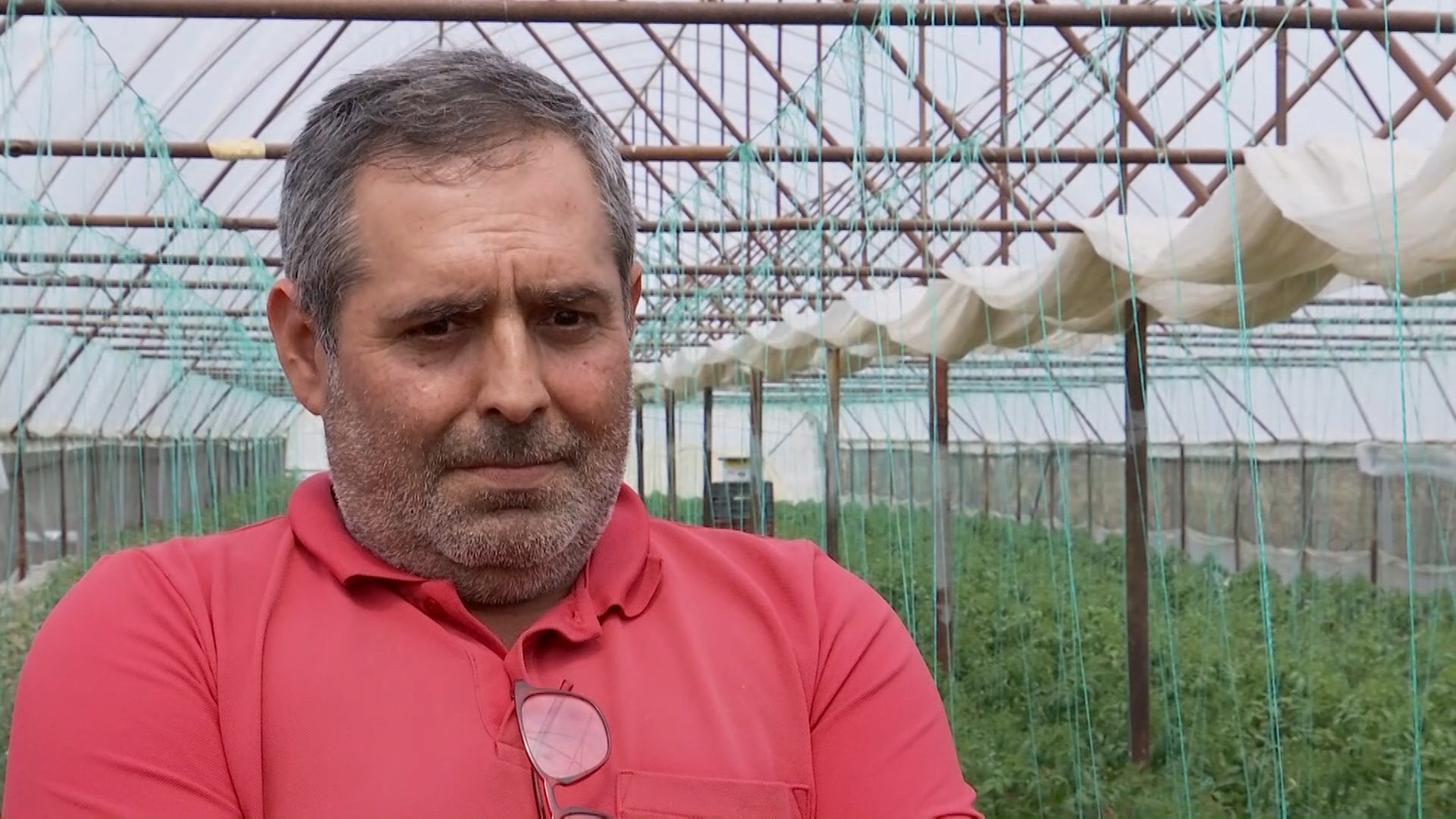 Un fermier român a dat anunţ că angajează culegători pentru salarii de ...