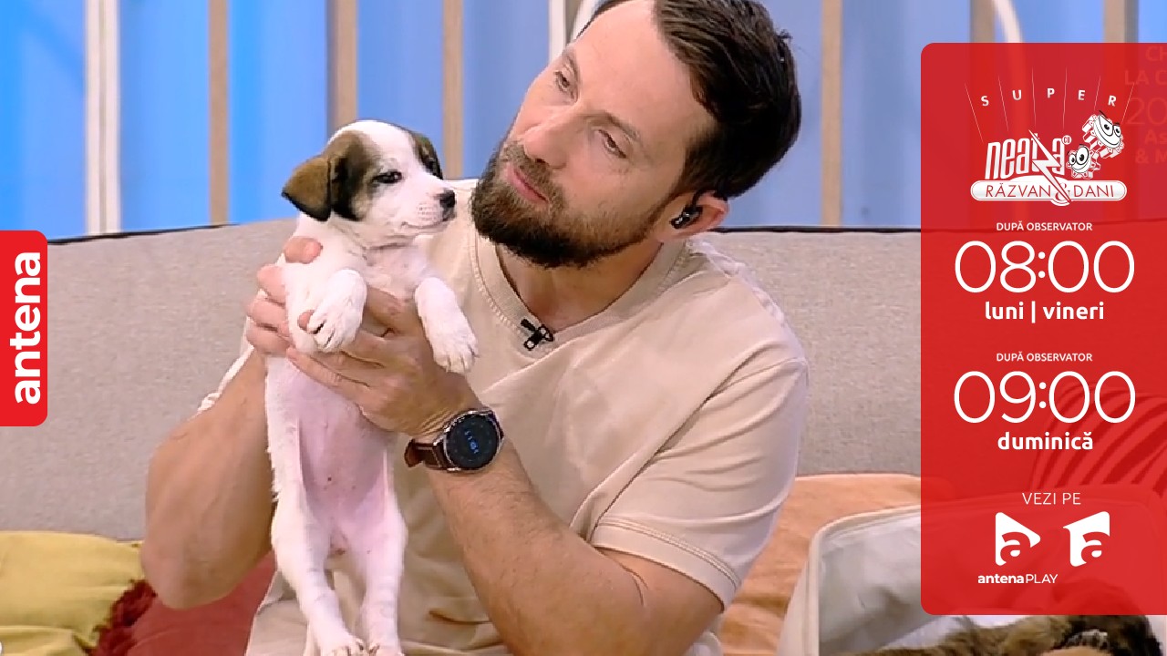 Super Neatza, 8 noiembrie 2022. Evelina V&icirc;rlan, o nouă campanie de suflet pentru prietenii blănoși