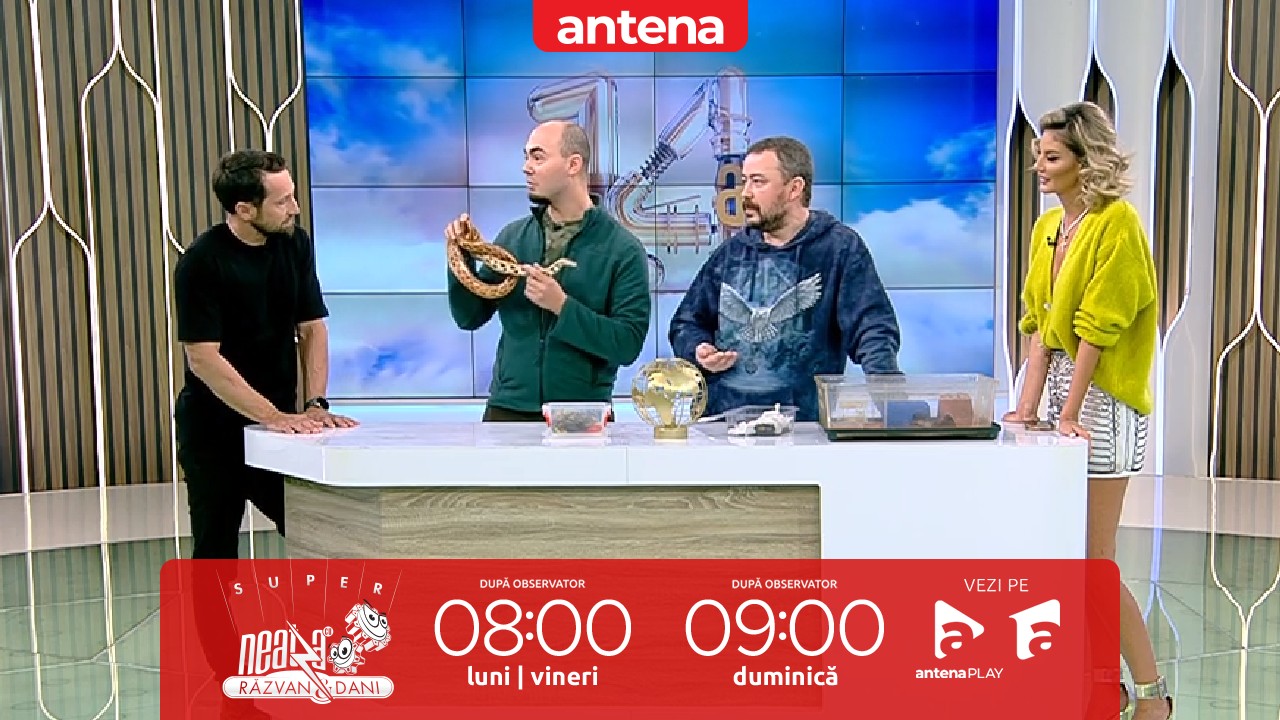 Super Neatza, 11 ianuarie. Care sunt beneficiile de care se bucură copiii care cresc cu animale de companie