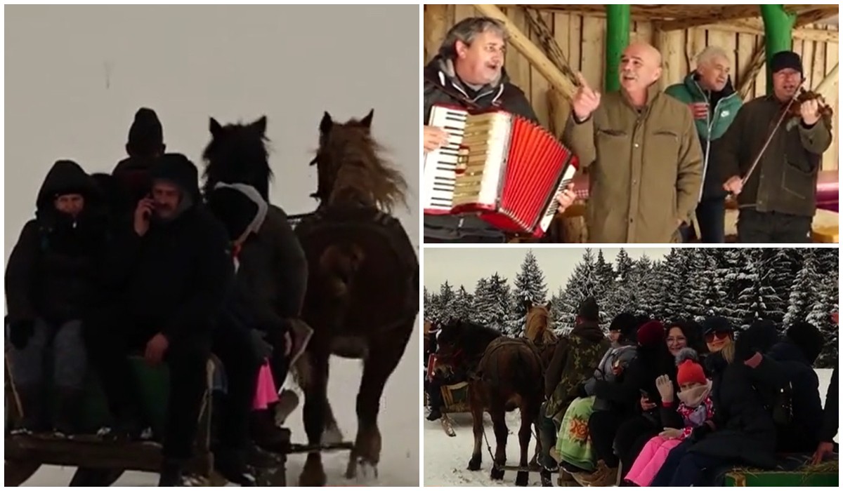 Zeci de turiști s-au bucurat de o plimbare prin nămeți cu sania trasă ...
