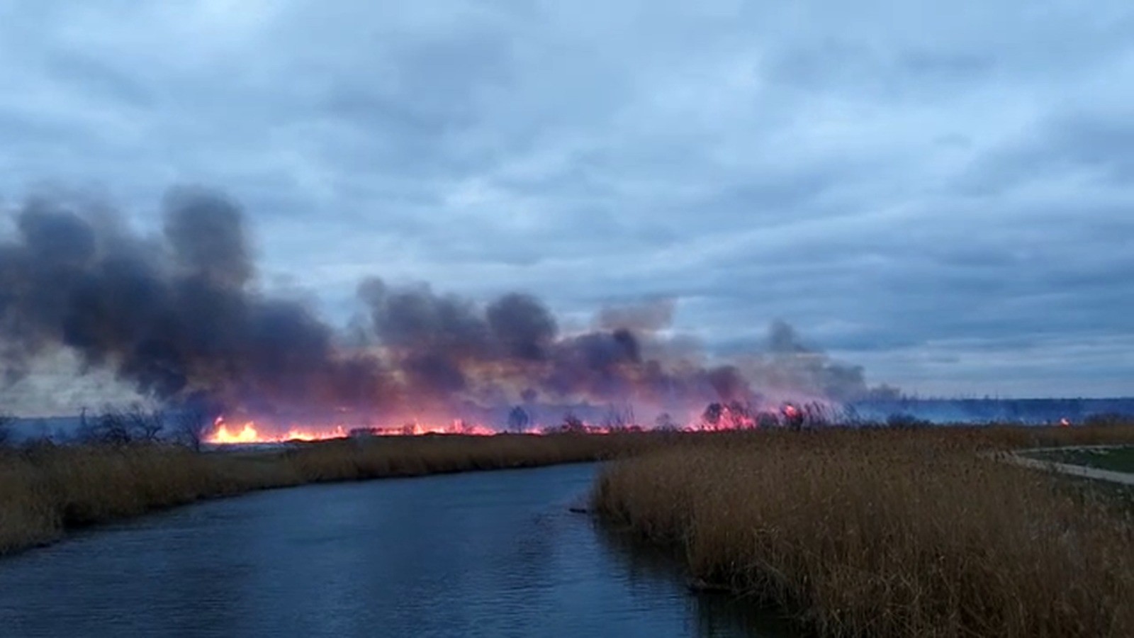 12 hectare au fost pârjolite de flăcări, după ce vântul puternic a întețit un incendiu de vegetație, lângă Galaţi