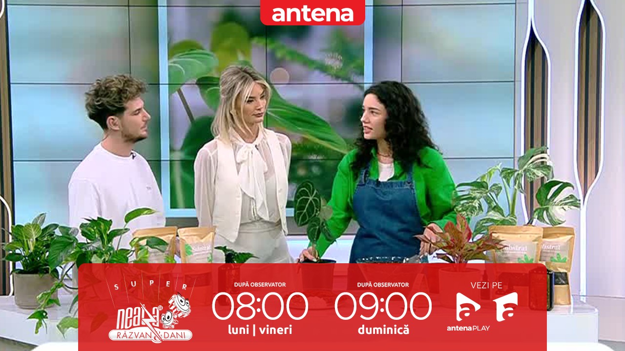 Super Neatza, 3 aprilie 2023. Ghid pentru &icirc;ngrijirea și plantarea florilor primăvara