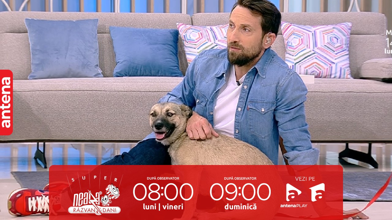 Super Neatza, 13 iunie 2023. Cel mai fluffy din parcare, cel mai tare eveniment de adopții animale de companie