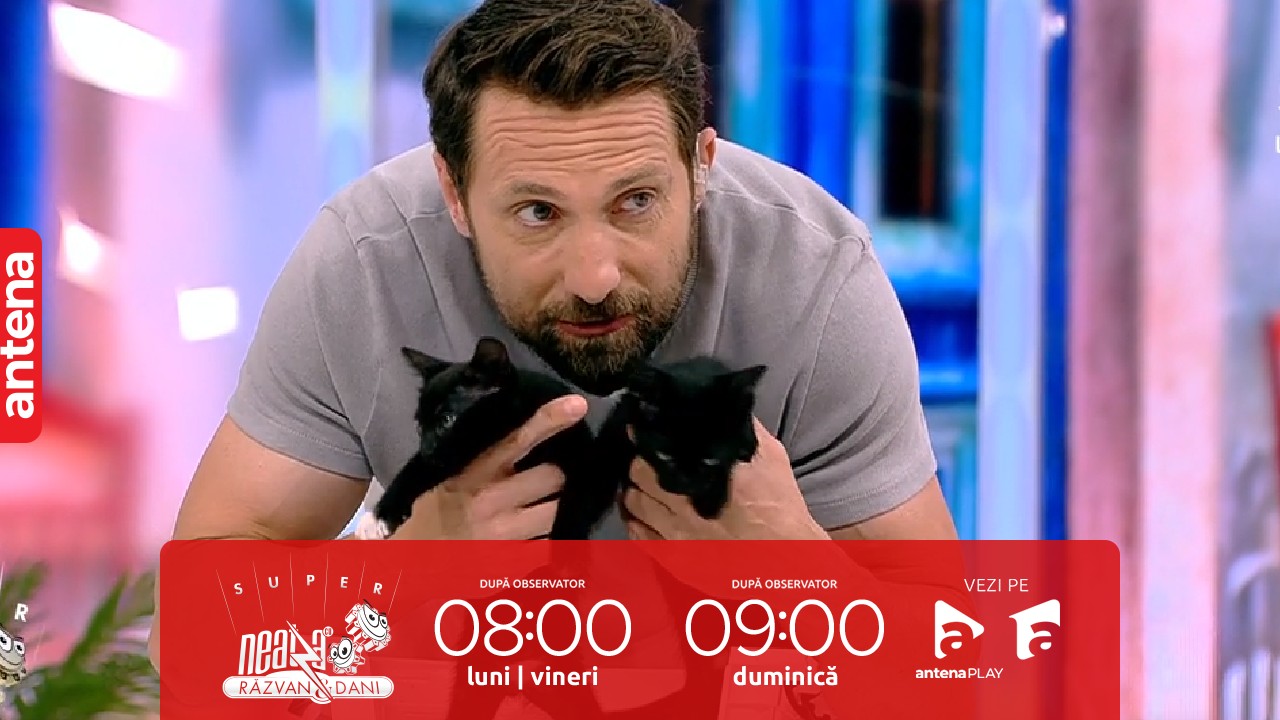 Super Neatza, 27 iunie 2023. Sfaturi utile &icirc;n adopția unui animal de companie