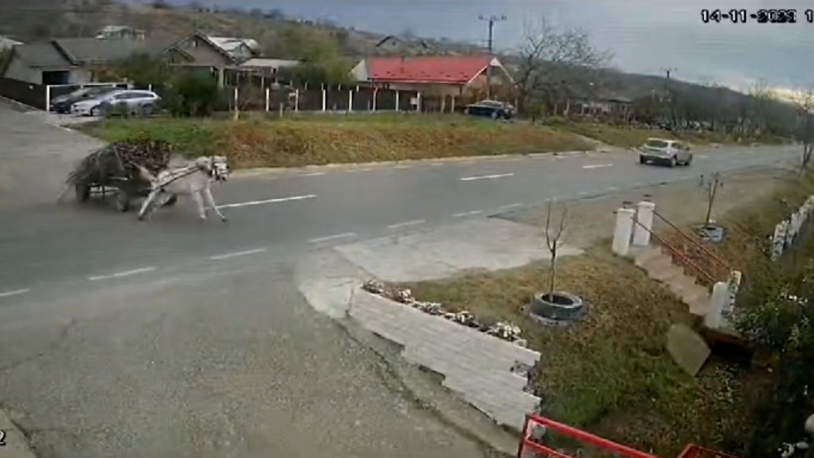 Un cal speriat înhămat la o căruță, evitat la limită de o mașină pe un ...