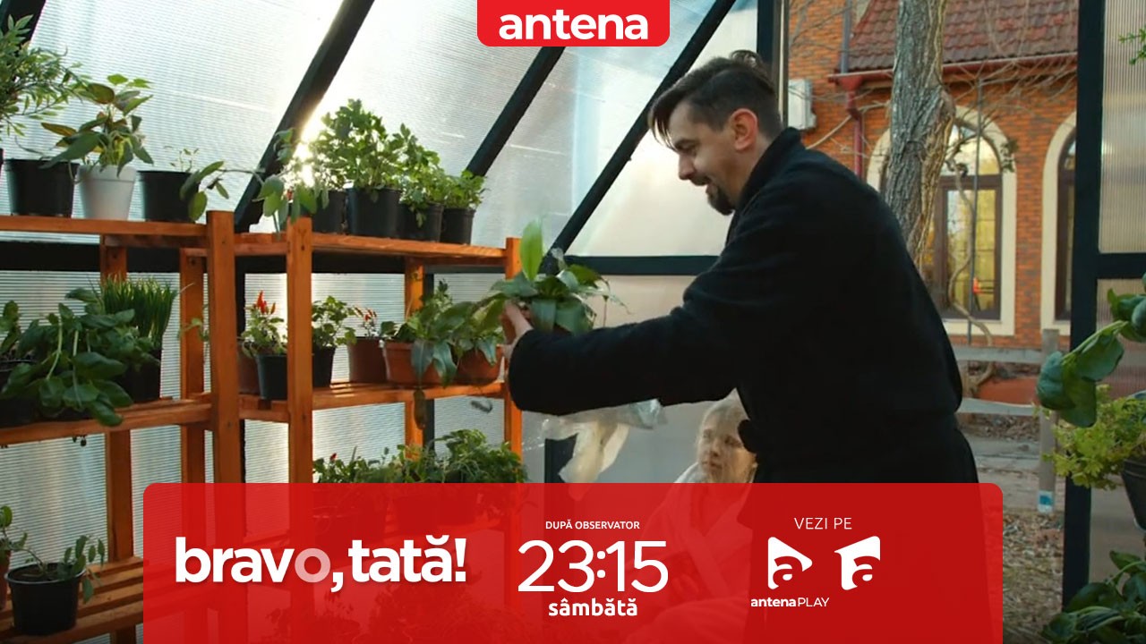 Bravo, tată! | Sezonul 3, episodul 1, 6 septembrie 2024. Flavius și-a cumpărat o plantă carnivoră: Vreau să o antrenez!