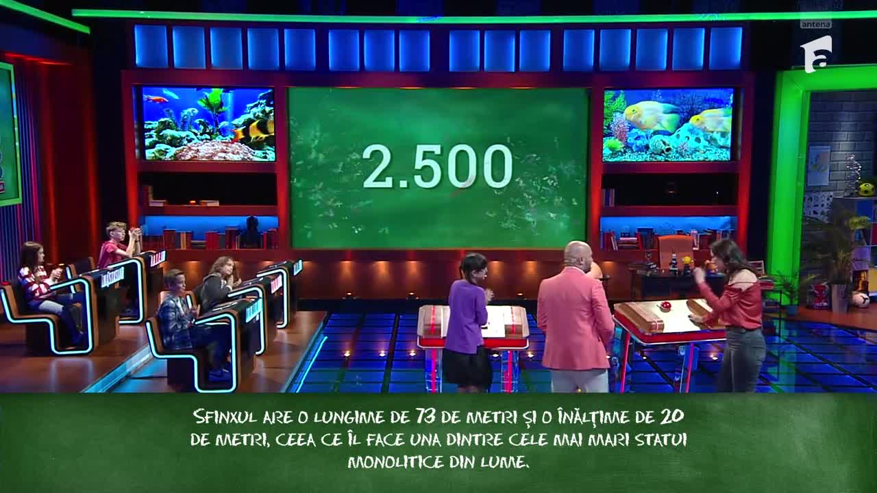 Ești mai deștept decât un copil de clasa a V-a | Sezonul 3, 7 noiembrie 2024. Elena a câștigat suma de 3.500 de lei