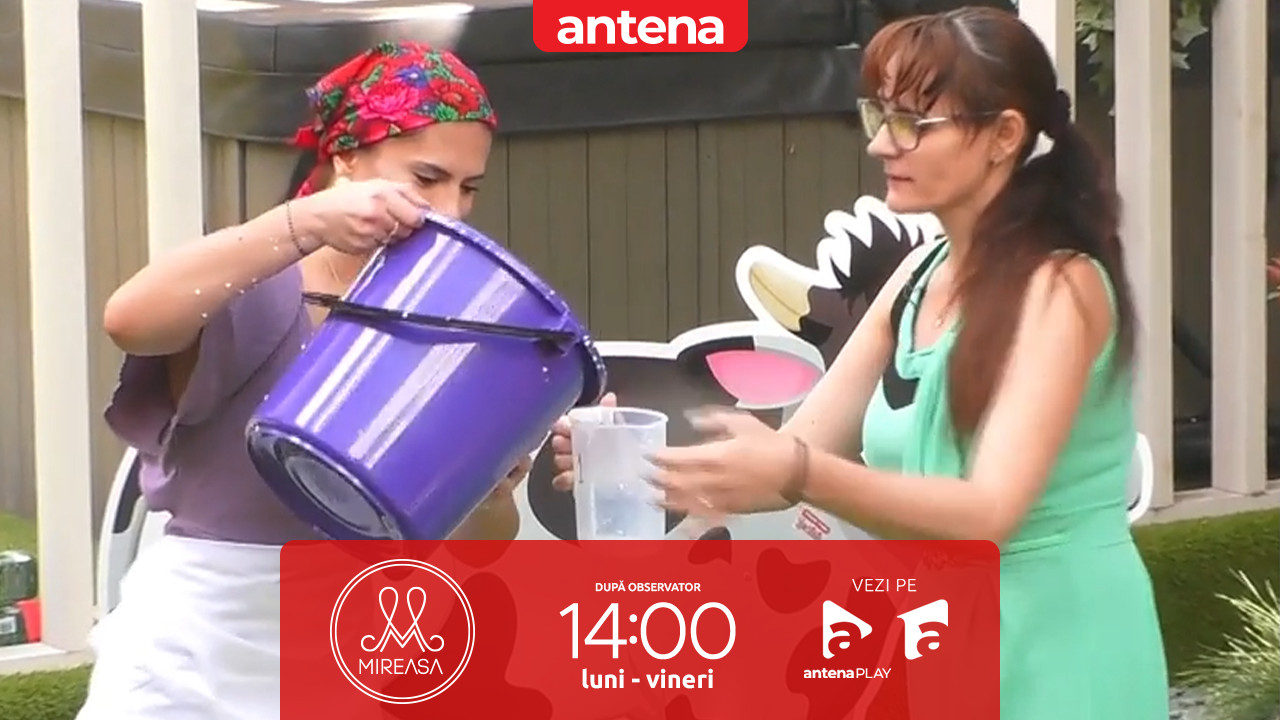 Mireasa sezonul 11, 15 mai 2025. Fetele, puse să mulgă vaca la un task al îndemânării