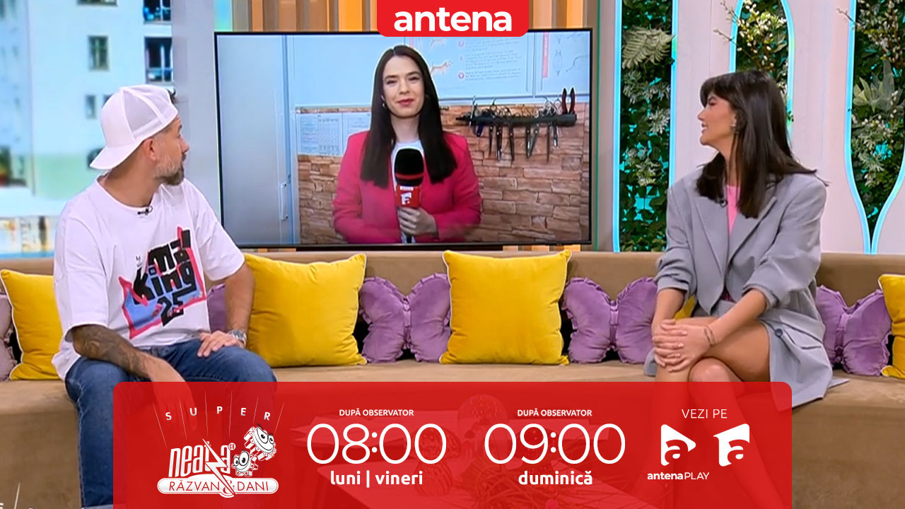 Super Neatza, 16 mai 2025. Cum pregătim blana animalelor de companie pentru sezonul cald