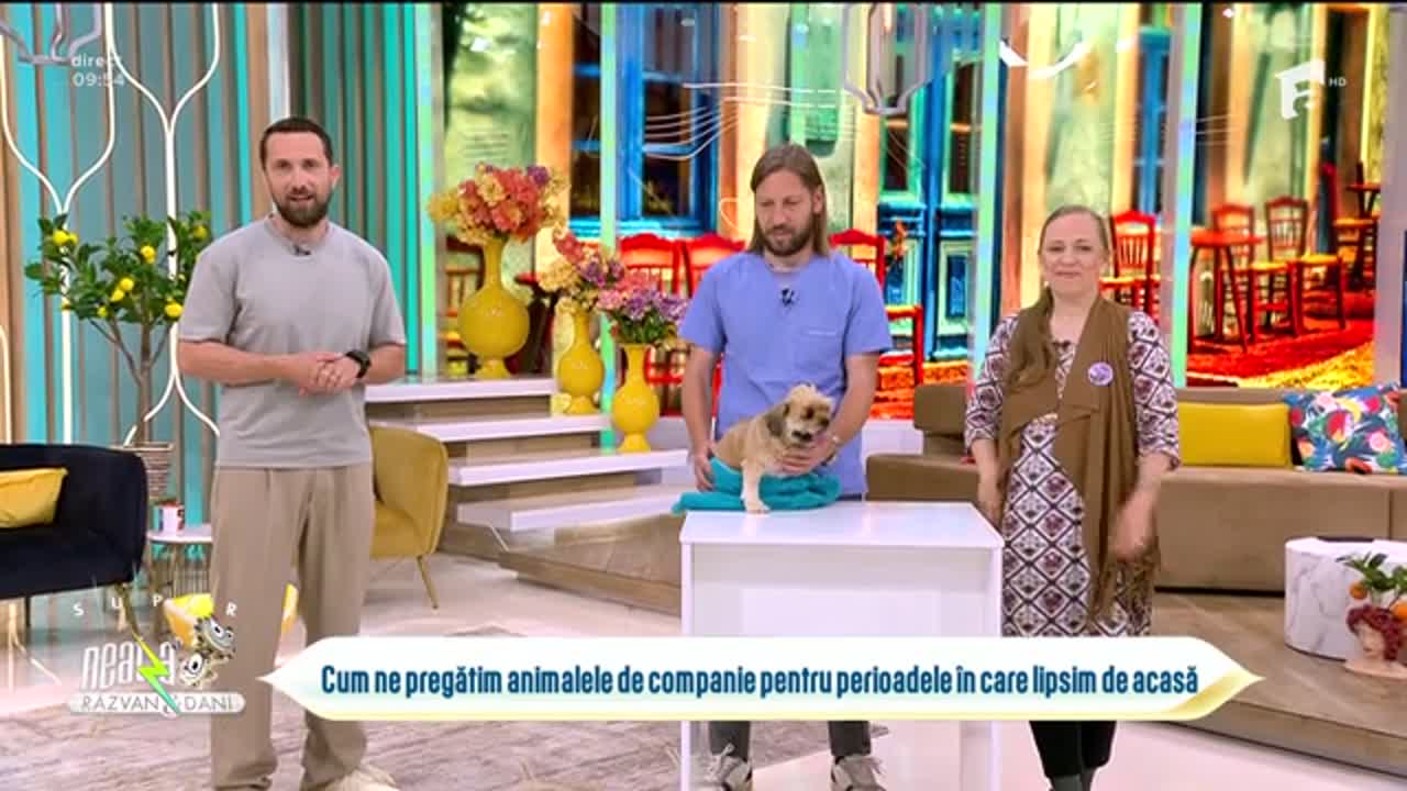 Super Neatza, 2 iunie 2025. Unde poți lăsa animalele de companie atunci când pleci în concediu