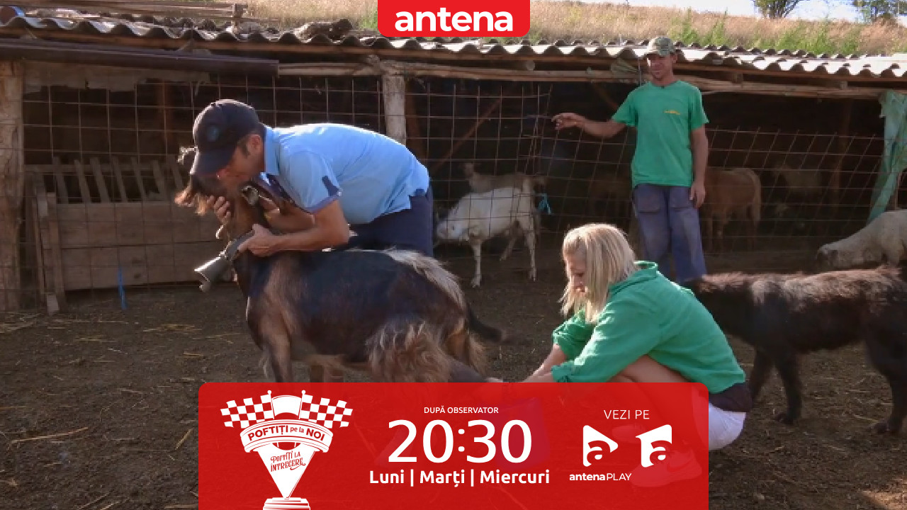 Poftiți pe la noi: Poftiți la întrecere, 9 iunie 2025. Oana, Mișu, Rikito și Sonny au fost puși să muncească la ferma de oi