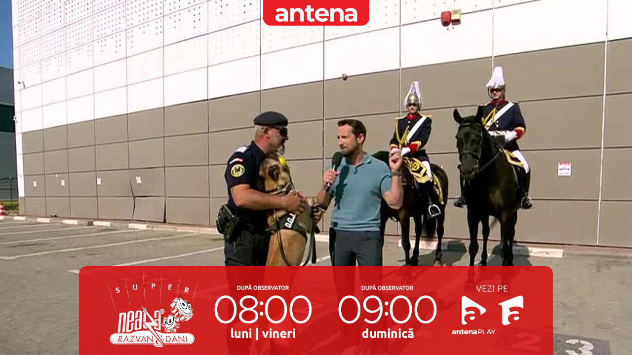 Super Neatza, 27 iunie 2025. Rolul jandarmilor cu cai și cu c&acirc;ini &icirc;n misiunile de ordine publică