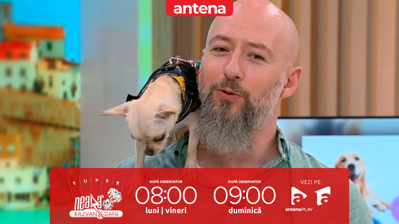 Super Neatza, 3 iulie 2025. Cum să &icirc;ngrijești c&acirc;inii de talie mică vara