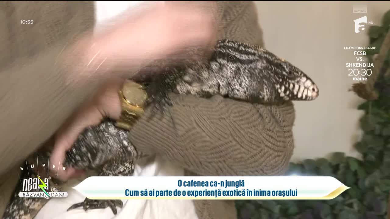 Neatza cu Răzvan și Dani - Best of