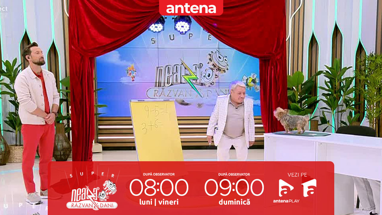Super Neatza, 12 septembrie 2025. Cățelușa care știe matematică! Ion Paliu şi Inna, lecție specială de matematică