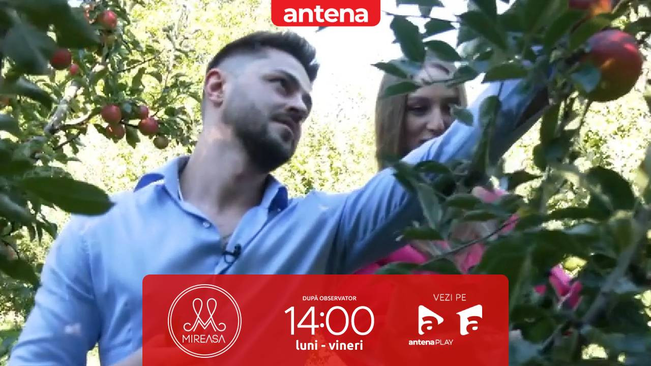 Mireasa sezonul 12, 24 septembrie 2025. Ionuț și Loredana au ieșit la cules de mere! Cum a fost date-ul