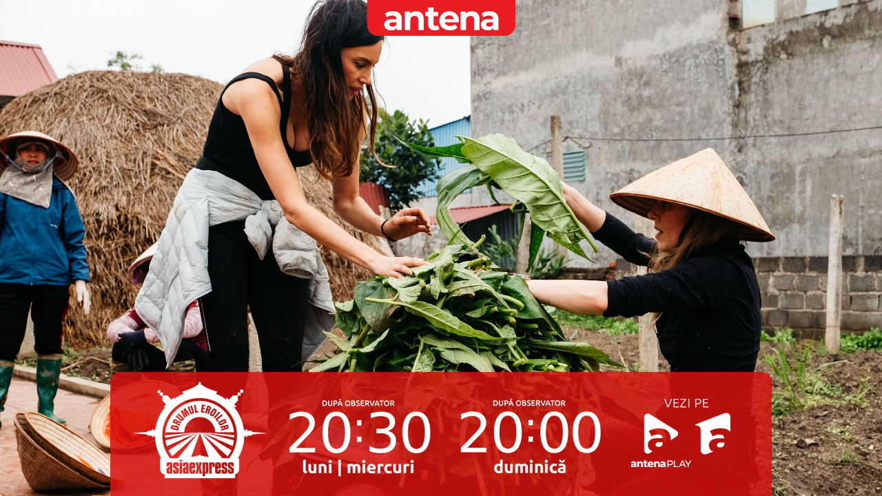 Asia Express, 29 septembrie 2025. Cum s-au descurcat echipele la plantația de tutun