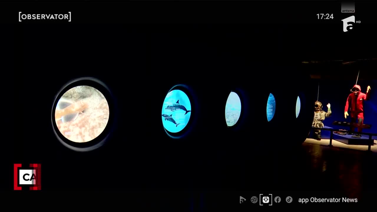 Observator ora 17