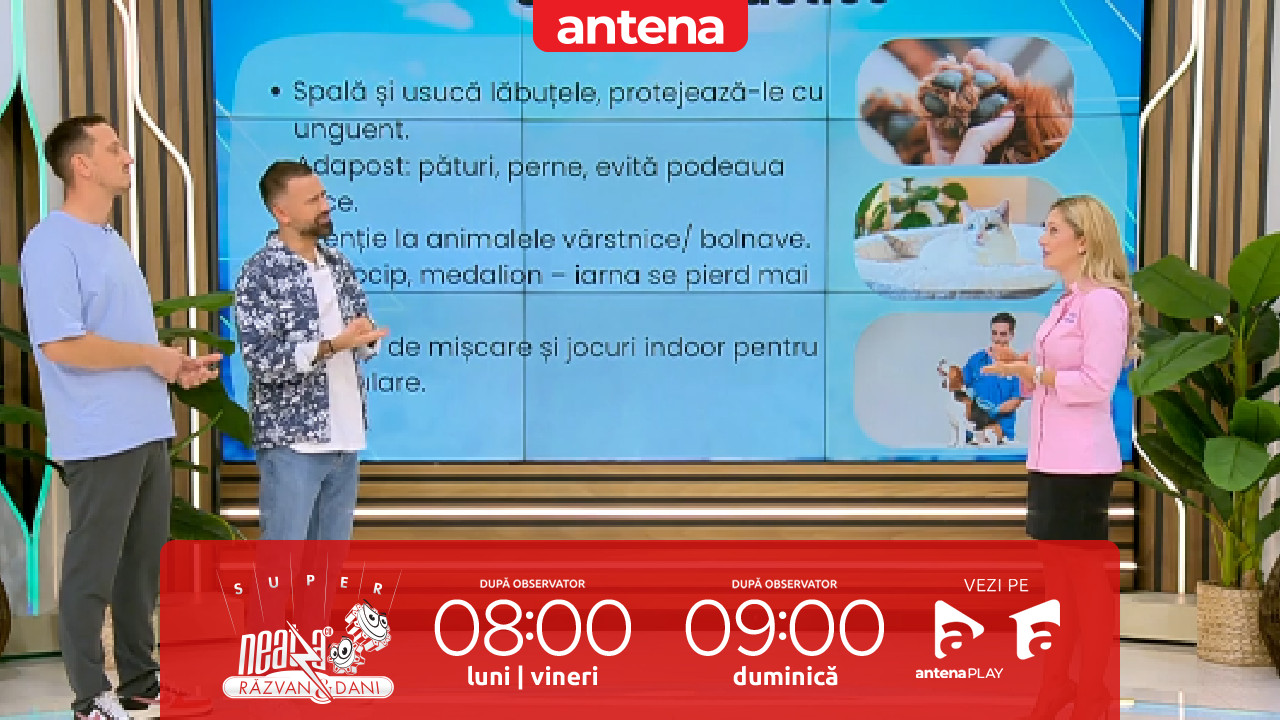 Super Neatza, 7 octombrie 2025. Ce greșeli de &icirc;ngrijire a animalelor să evităm &icirc;n sezonul rece