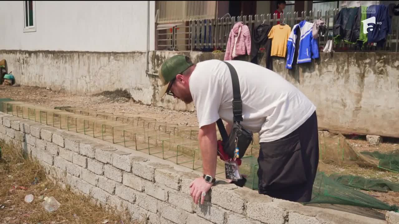 Jurnal de călătorie - Asia Express | Drumul Eroilor, ep. 17. Cât de dificilă a fost filmarea de la fabrica de peşte