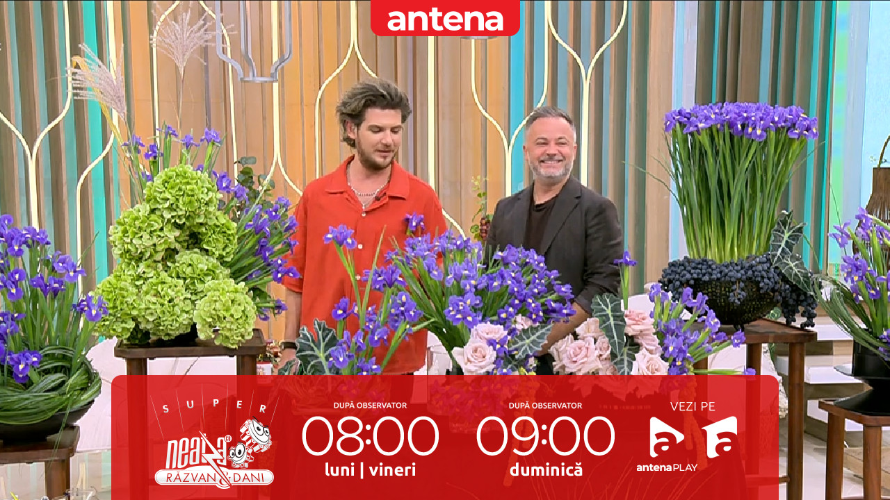 Super Neatza, 14 octombrie 2025. Aranjamente delicate și elegante cu iriși