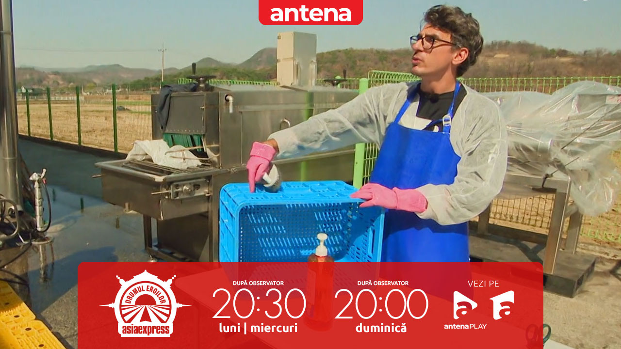 Asia Express, 4 noiembrie 2025. Alexandru Ion, criză de nervi la fabrica de kaki: Face mișto de noi!