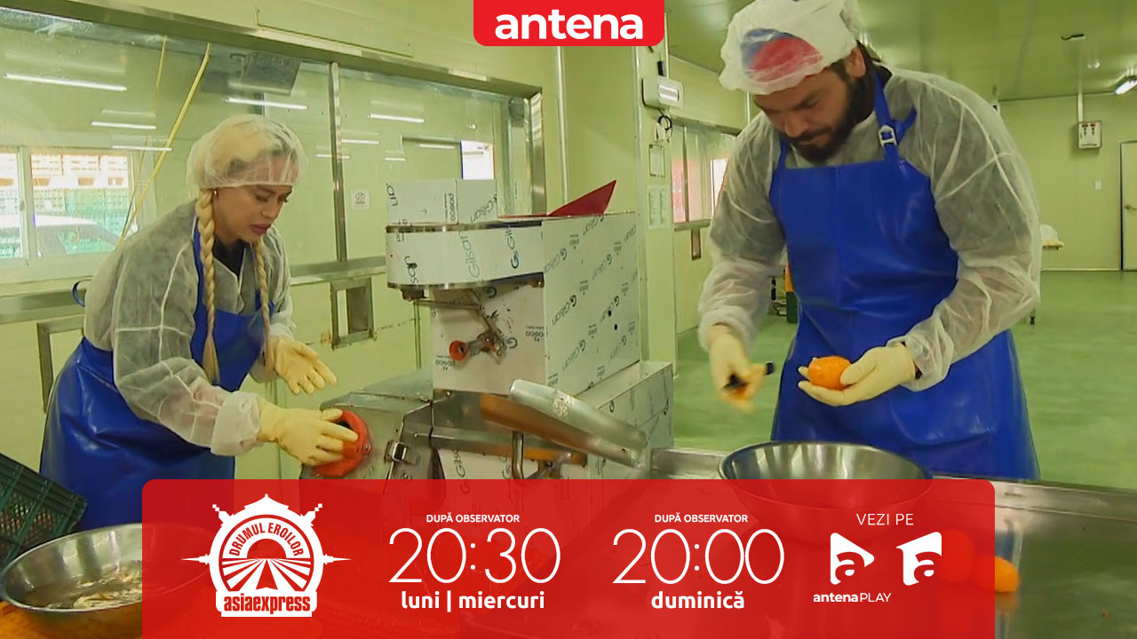 Asia Express, 4 noiembrie 2025. Concurenții Asia Express, puși la muncă grea într-o fabrică de kaki din Coreea de Sud