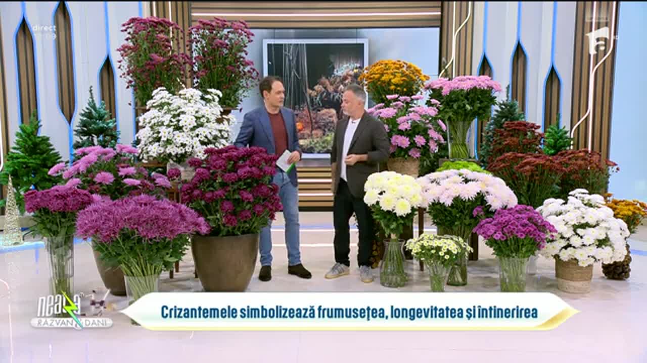 Neatza cu Răzvan și Dani