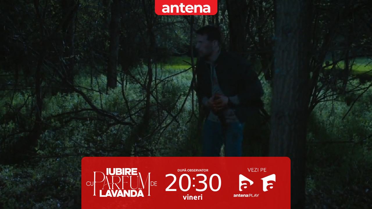 Iubire cu parfum de lavandă | Sezonul 3 | Episodul 24, 7 noiembrie 2025. Ștefan este rănit grav după o discuție cu Vali și Zamfir