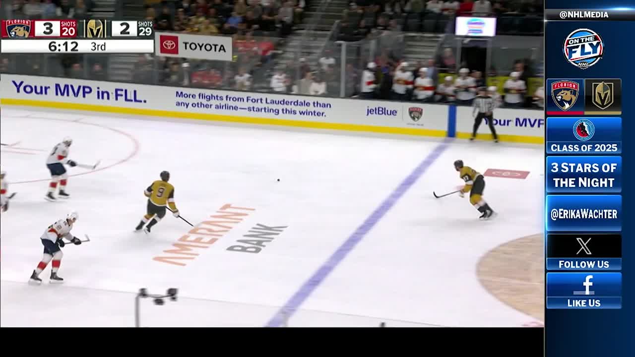 NHL On The FLY