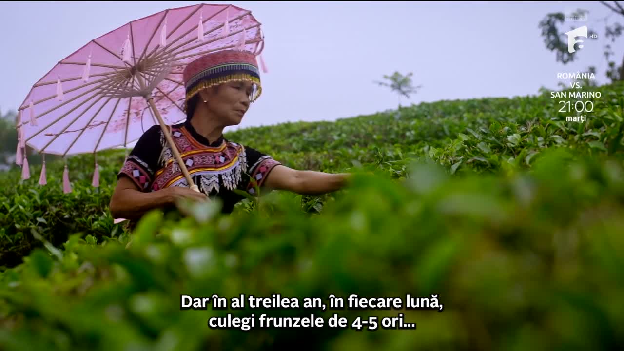 Documentarul - Asia Express | Drumul Eroilor