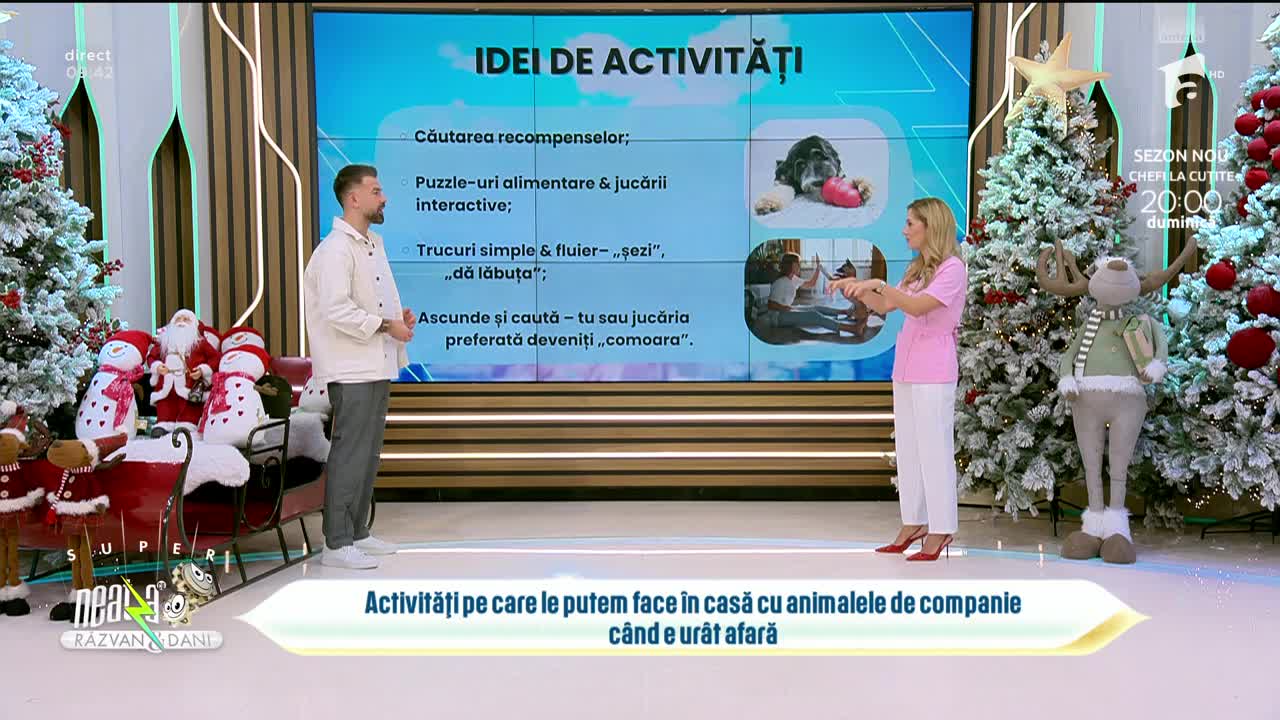 Super Neatza, 9 decembrie. Activități pe care le putem face în casă cu animalele de companie când e urât afară