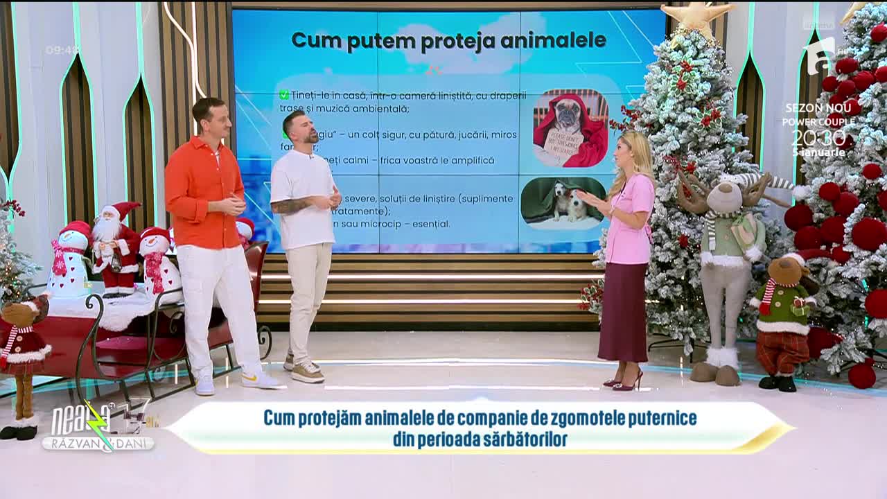 Super Neatza, 23 decembrie 2025. Cum protejăm animalele de companie de zgomotele puternice de sărbători